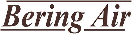 bering airlines logo